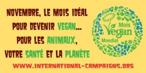 14/11: Stand pour le Mois Mondial Végane à Angers