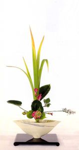 Stage YOGA ET IKEBANA