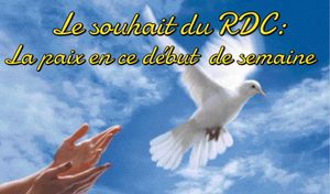 PORTE PAROLE DE DESIRE NZANGA KOLINGBA POLISSE BEBE