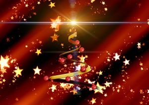Diner festif - Vendredi 18 Décembre