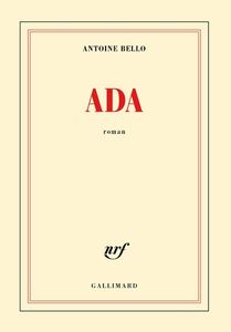 Acquisitions fonds adultes