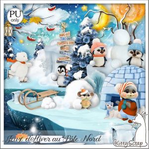 Jeux d'hiver au pôle nord