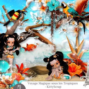 Voyage magique sous les tropiques