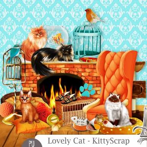 Lovely cat