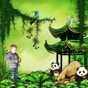 Pandi Panda