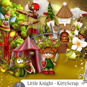 Little knight