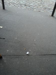 Le ridicule ne tue pas au PS...
