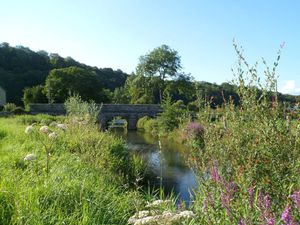 La vallée du Rognon à travers les saisons