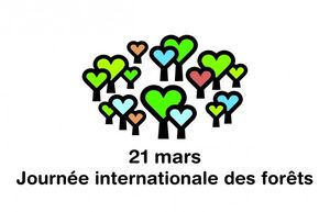 Journée internationale des forêts