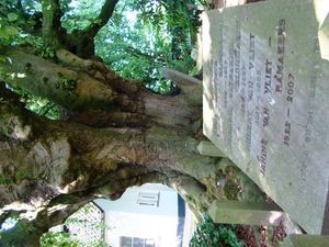 cimetière protestant de Horebeke