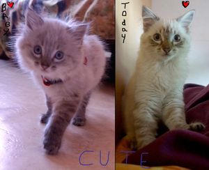 Des nouvelles de notre petit Zéphyr