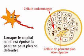 Attention aux dards du soleil !