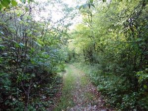 Type de chemin comme vers Compostelle.