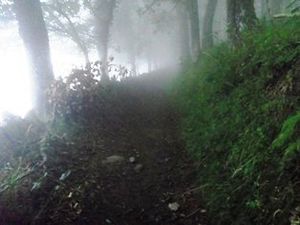 Montée dans le brouillard