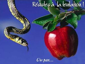 J'AVOUE...