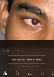 5 Extremely Easy Use Photo Editors