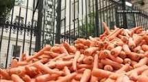 Carottes...