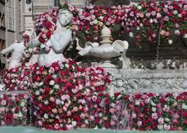 Fête de la rose...