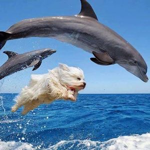 Marineland...