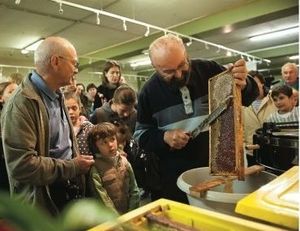 Messieurs Maron, Apiculteur à Colombes