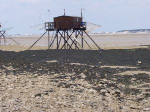 LA PÊCHE EN MER