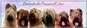 Mon blog fait peau neuve