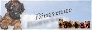Les Petits Derniers