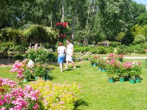 Les manifestations de la saison 2016