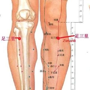 Zu San Li est le point magique qui permet d'agir sur des centaines de maladies en le massant régulièrement !