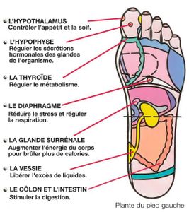 Réflexologie plantaire à faire soi-même : 7 points de pression qui réduisent le stress et stimulent le métabolisme