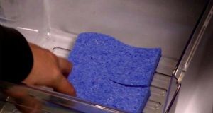 3 éponges déposés au fond du réfrigérateur. Et bientôt, vous allez faire la même chose!