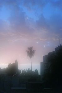 le vent de sable
