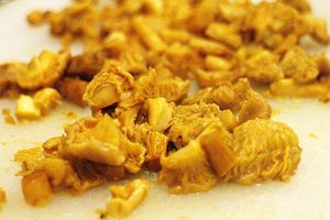 Risotto aux girolles et sa poudre de bacon