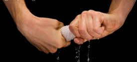 Quote of the day - German proverb : grace in a sponge...