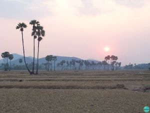 Ultra Trail d'Ankgor 2016