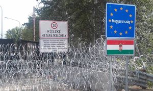Solidarité avec les Migrants : Entre compassion et interrogations