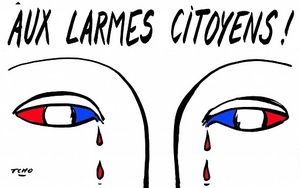Qui vote FN ?