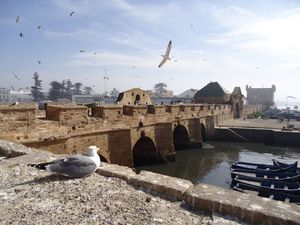un pont entre deux rives