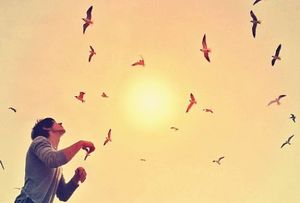 Renouveau de mon blog