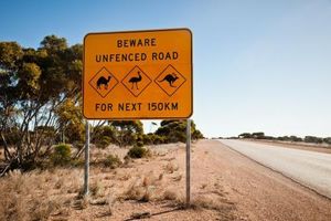 Route sans radar......
