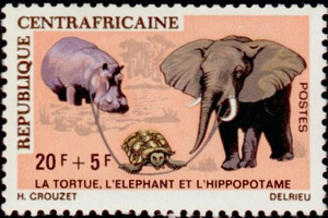 Centrafrique fable tortue elephant hippopotame