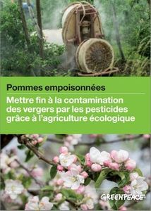 Greenpeace : le temps des excuses et de la pénitence ?