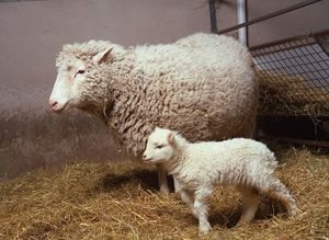 Dolly et sa fille Bonnie.