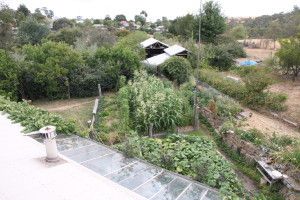 La permaculture : notre avenir écologique ou un hobby non durable pour des militants de l'agroécologiques néoruraux ?