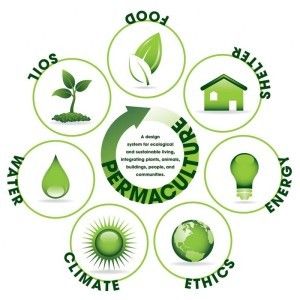 La permaculture : notre avenir écologique ou un hobby non durable pour des militants de l'agroécologiques néoruraux ?