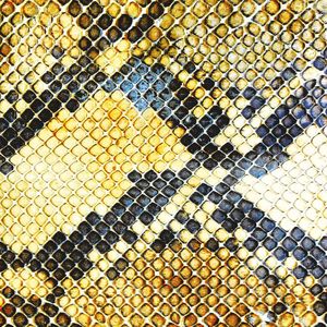 Amphetamine Ballads (2014)