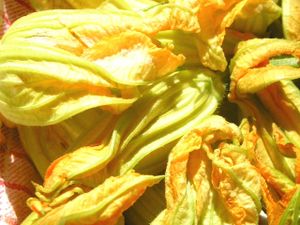 Fleurs de Courgettes farcies... gourmandes et délicates