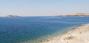 Ce satané lac Assad !