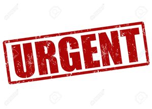 Urgent - L'aviation US bombarde l'armée syrienne !
