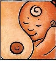 Repas/ Bébé allaité